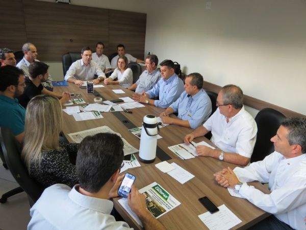 Organização