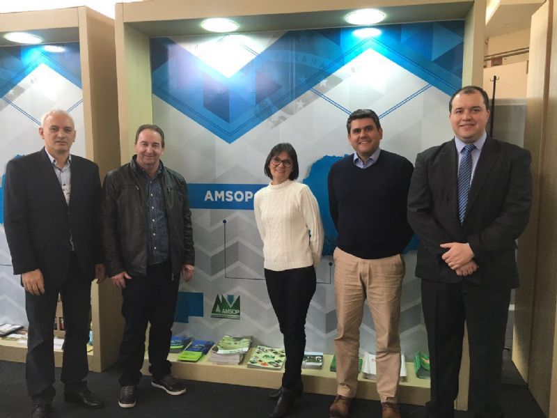 Amsop